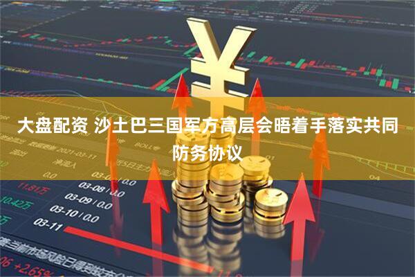 大盘配资 沙土巴三国军方高层会晤着手落实共同防务协议